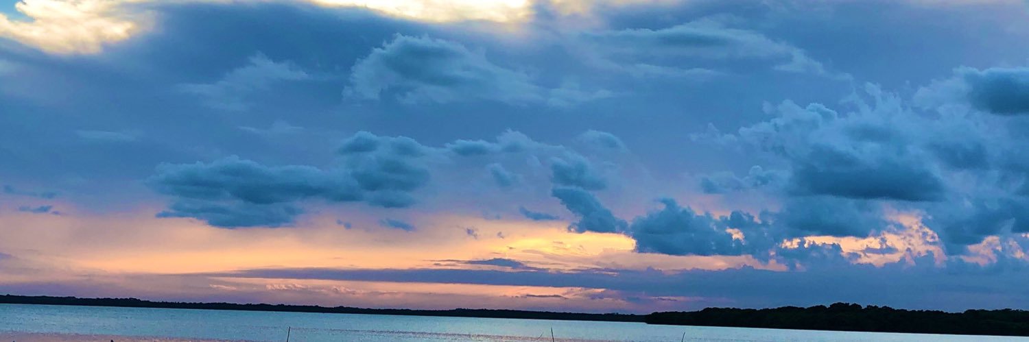 mRn24's profile banner image