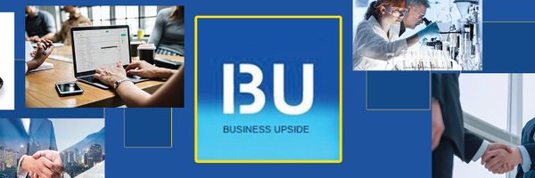 BusinessUpside1 Profile Banner