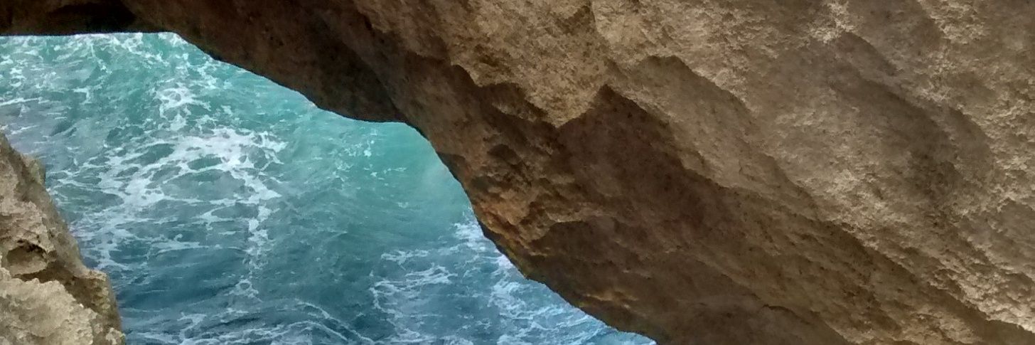 Naginyn👩🏻‍🔬 banner