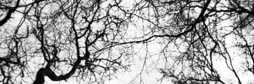 InsanelyCriminalPod banner