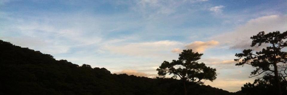 jasonbruno's profile banner image