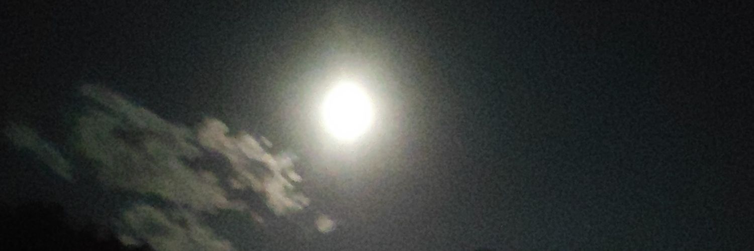 srangel_d's profile banner image