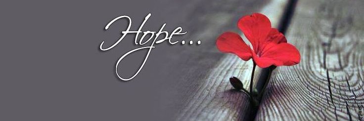ankitatetk's profile banner image