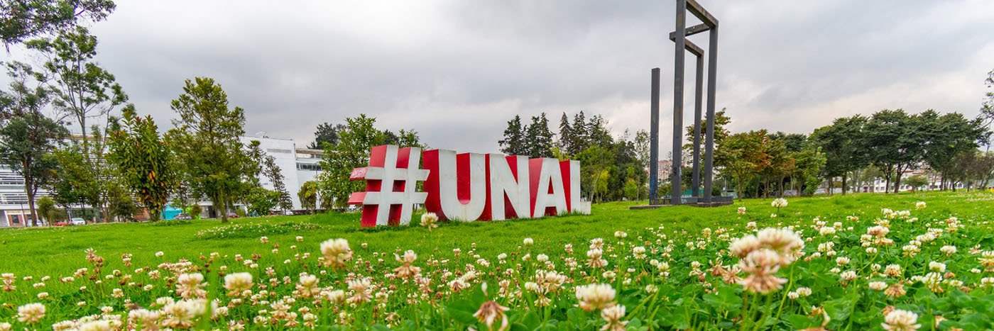 Jorge Alí-Torres banner