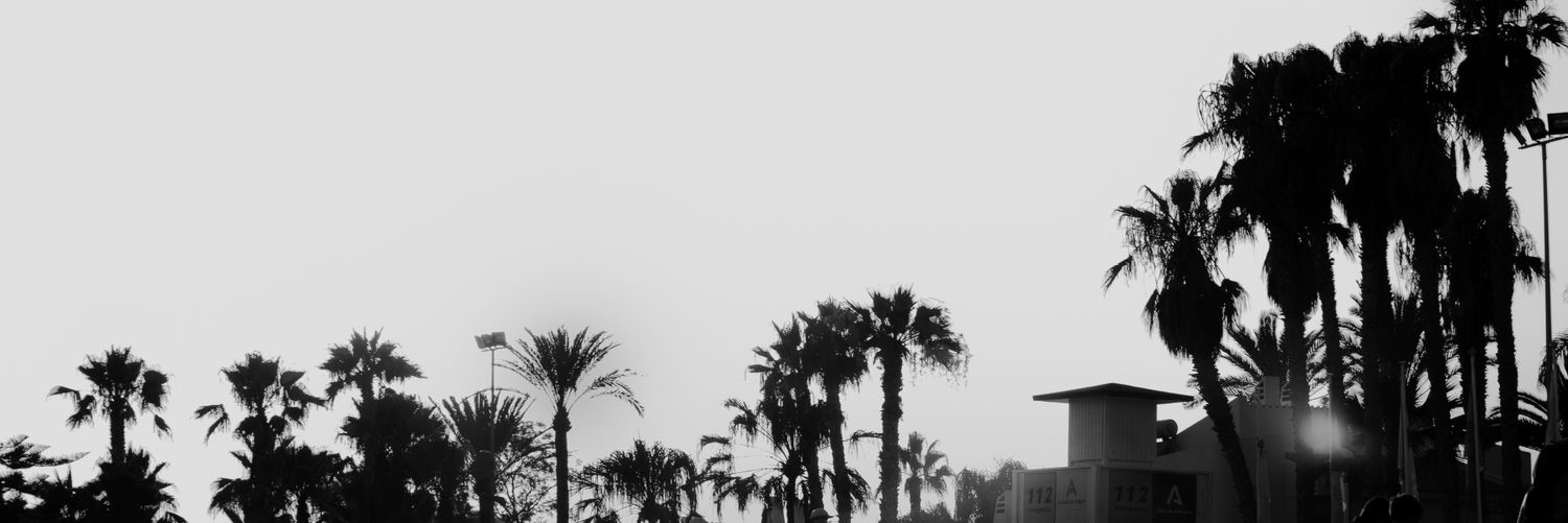 JSXZ__'s profile banner image