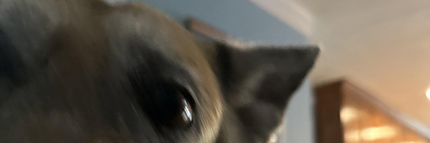 🐉🎅 ƒєｒｔн𝑜ｒ𝕥ᑎƗⓣ乇 🐉♩ banner