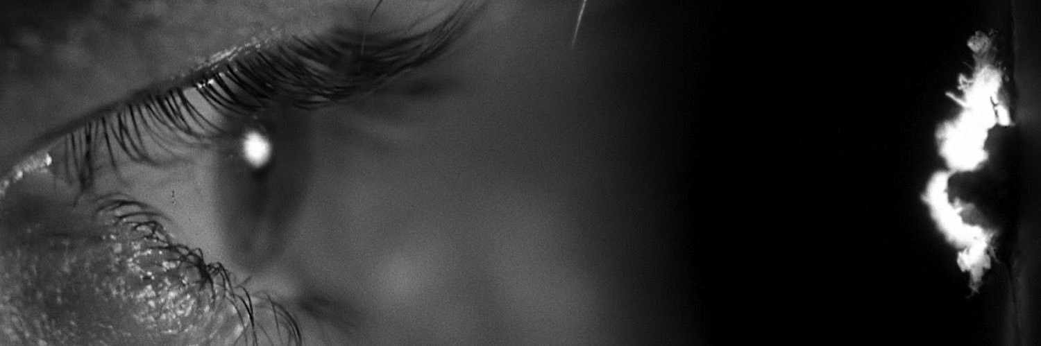 nakedpack21's profile banner image