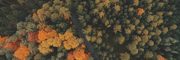 jaisidhsingh Profile Banner