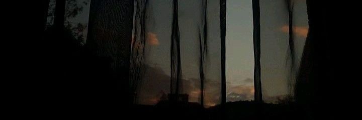 zar banner