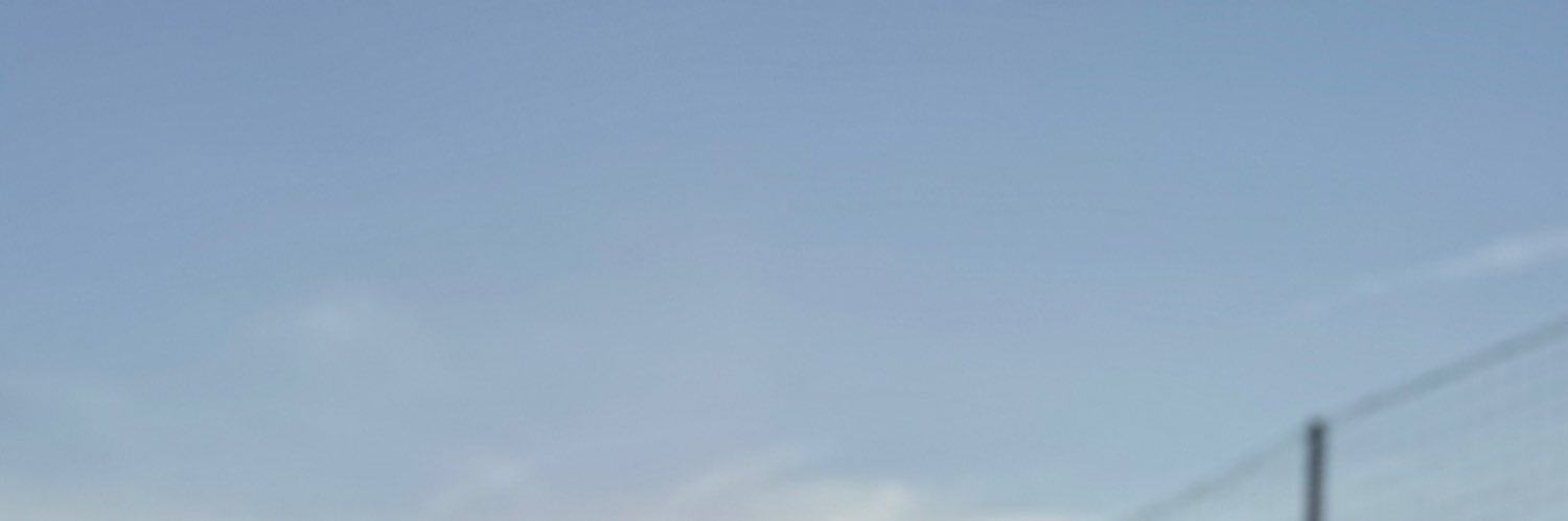 Nicanpersie's profile banner image