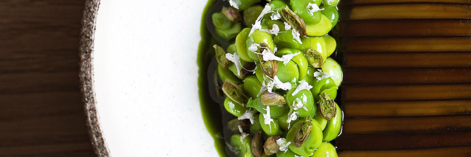 Andreja Lajh / HdG banner