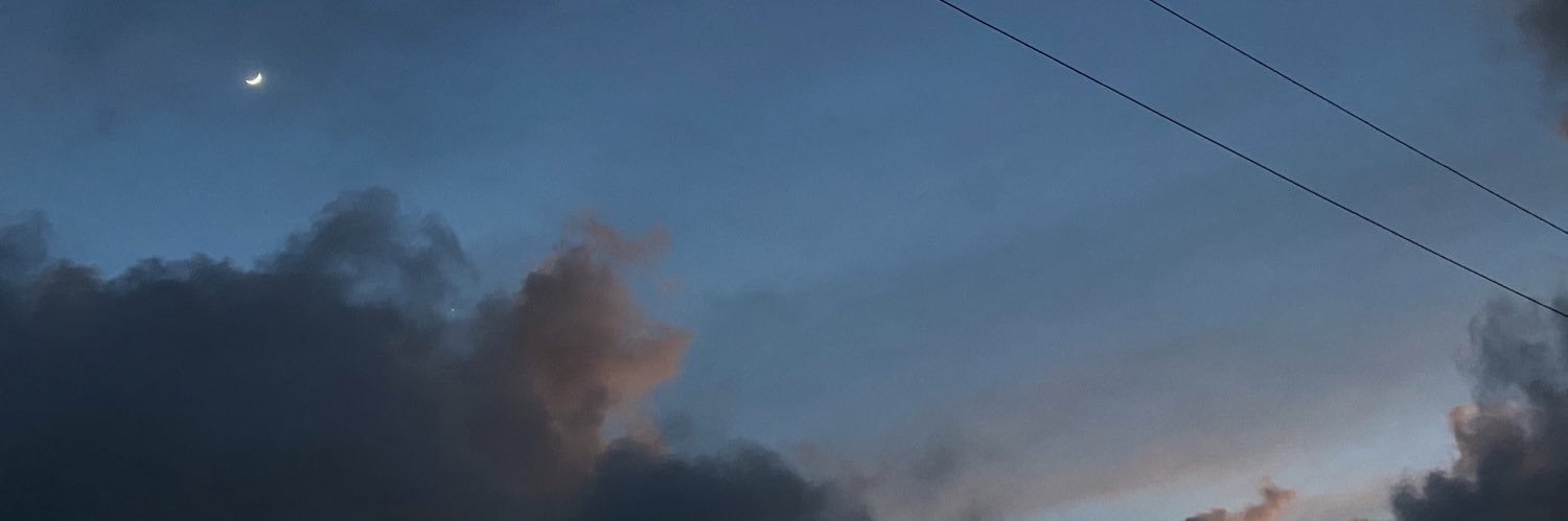 __mvls's profile banner image