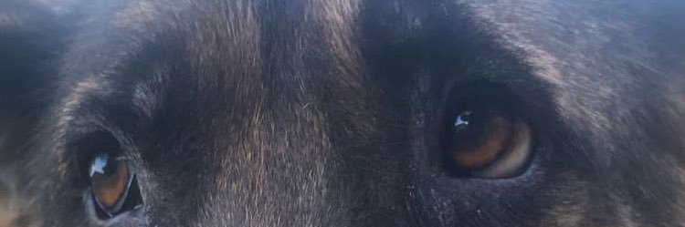 Jennicast's profile banner image