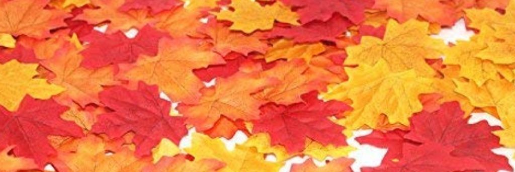 Hanna banner