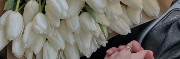 cerenas77's profile banner image