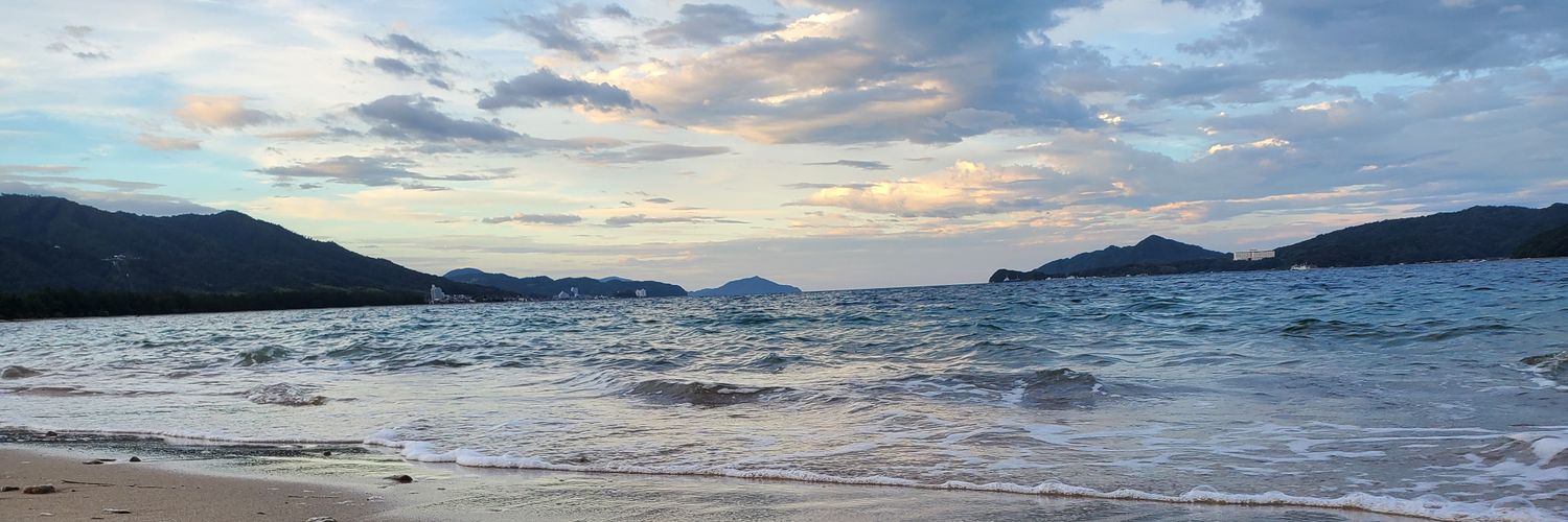 Ginko_fn's profile banner image