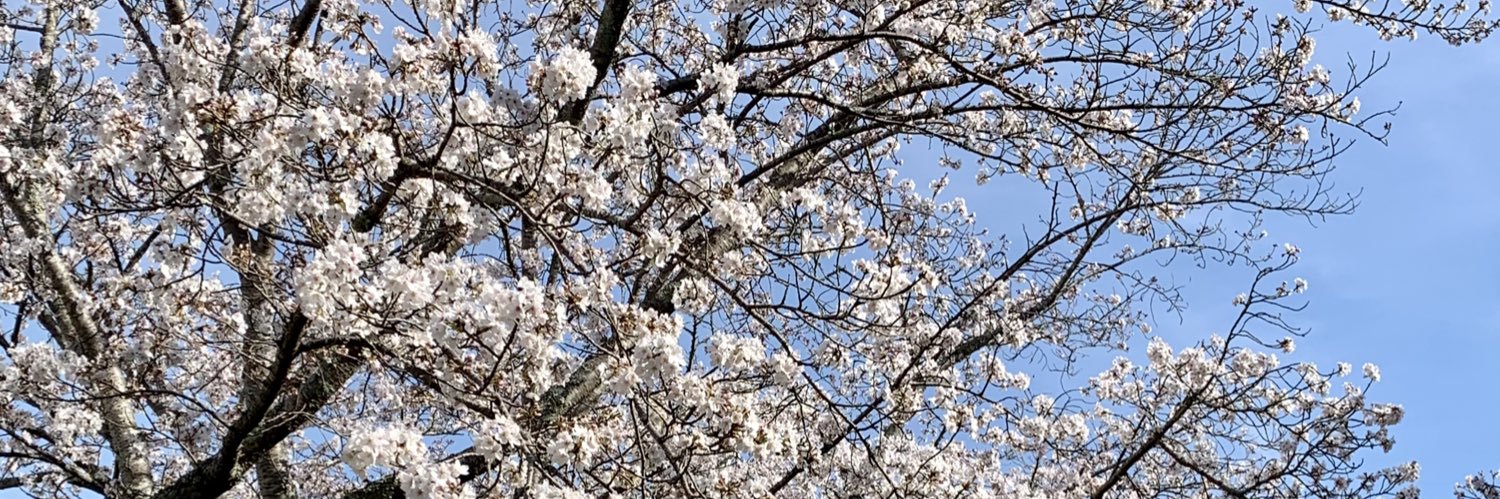 _Shimi432's profile banner image