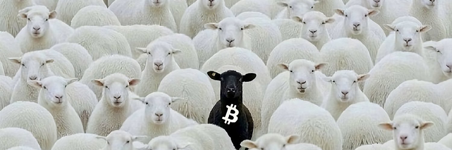 Mastermind Brazil banner