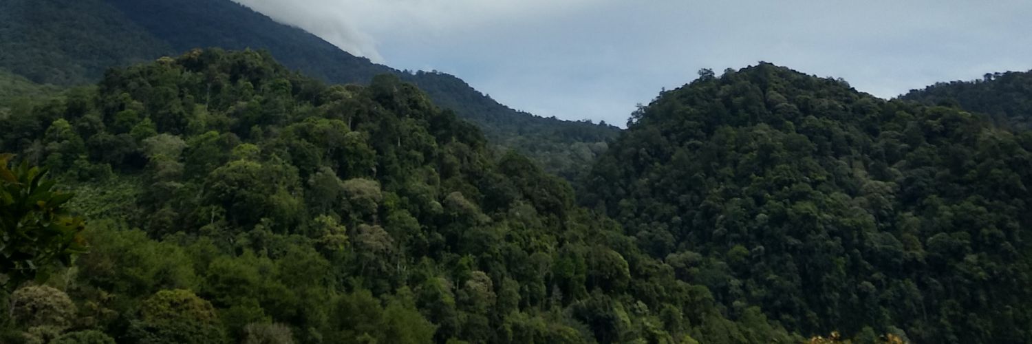 mil_teaboem's profile banner image