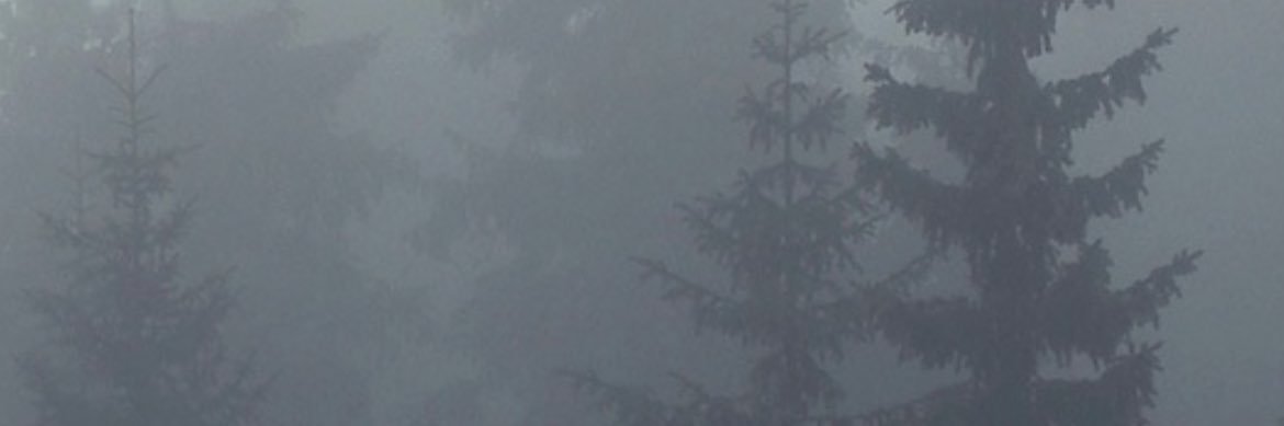 nooneishereaf's profile banner image