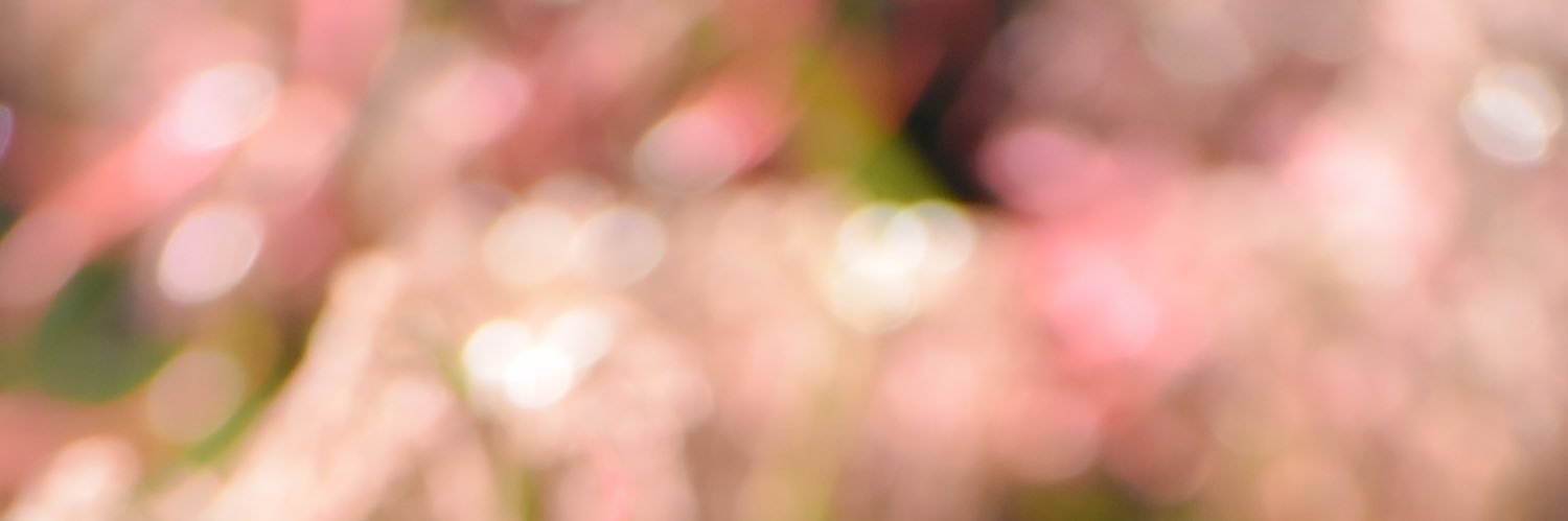 caori05465647's profile banner image