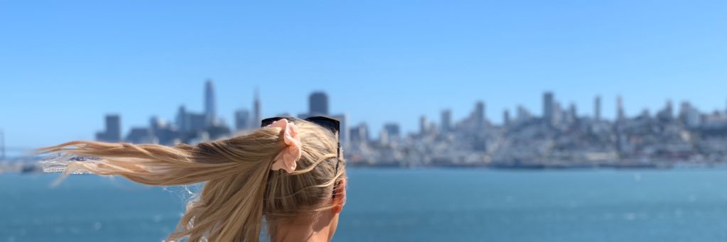 Kirstisaurus's profile banner image