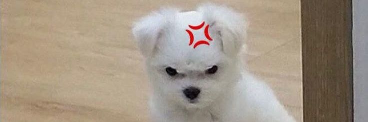 M_MYN banner