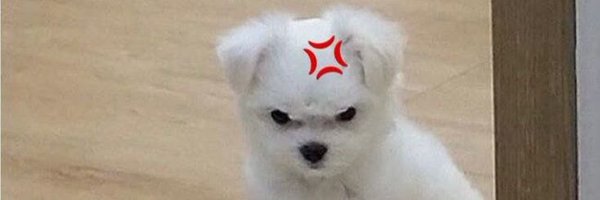 into_mynzone Profile Banner