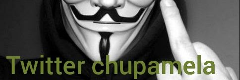 Anonymous Gallo 1 banner