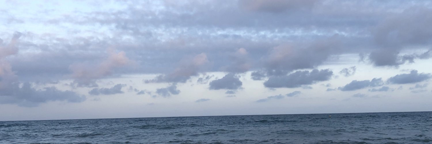 anamarrus's profile banner image