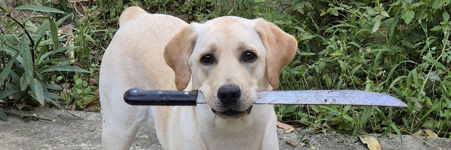 ɐpɹǝɔɐ˥ ounɹᙠ banner