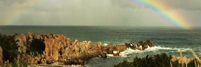 Sally Reiser Simon banner