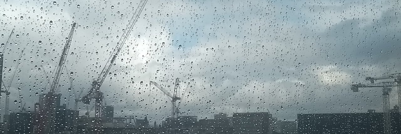 Ulrike Ehgartner banner