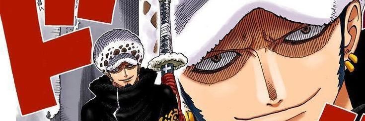 Trafalgar D. Water Law banner
