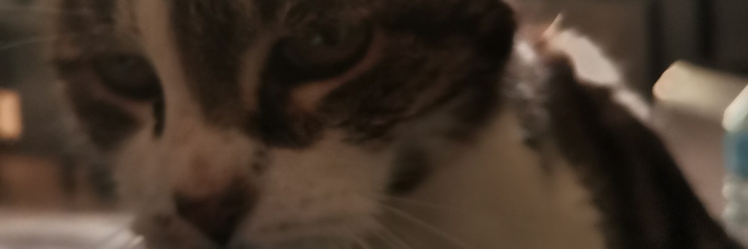 Hi banner