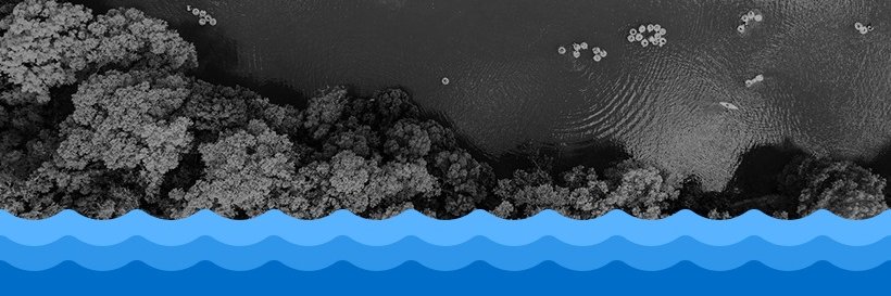 Texas Runs on Water banner