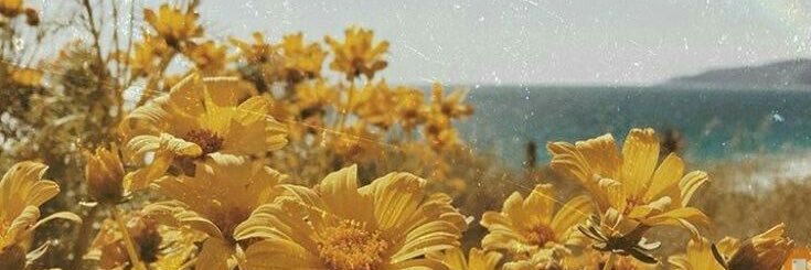 Alexxbryson's profile banner image