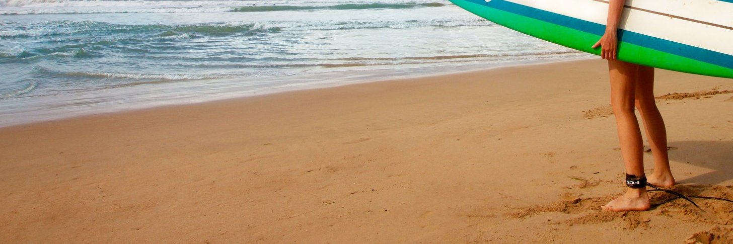 blassbudding's profile banner image