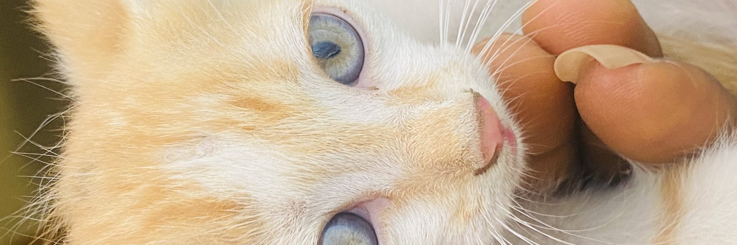 NobleSmooth's profile banner image