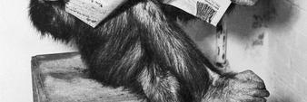 MicMice61's profile banner image