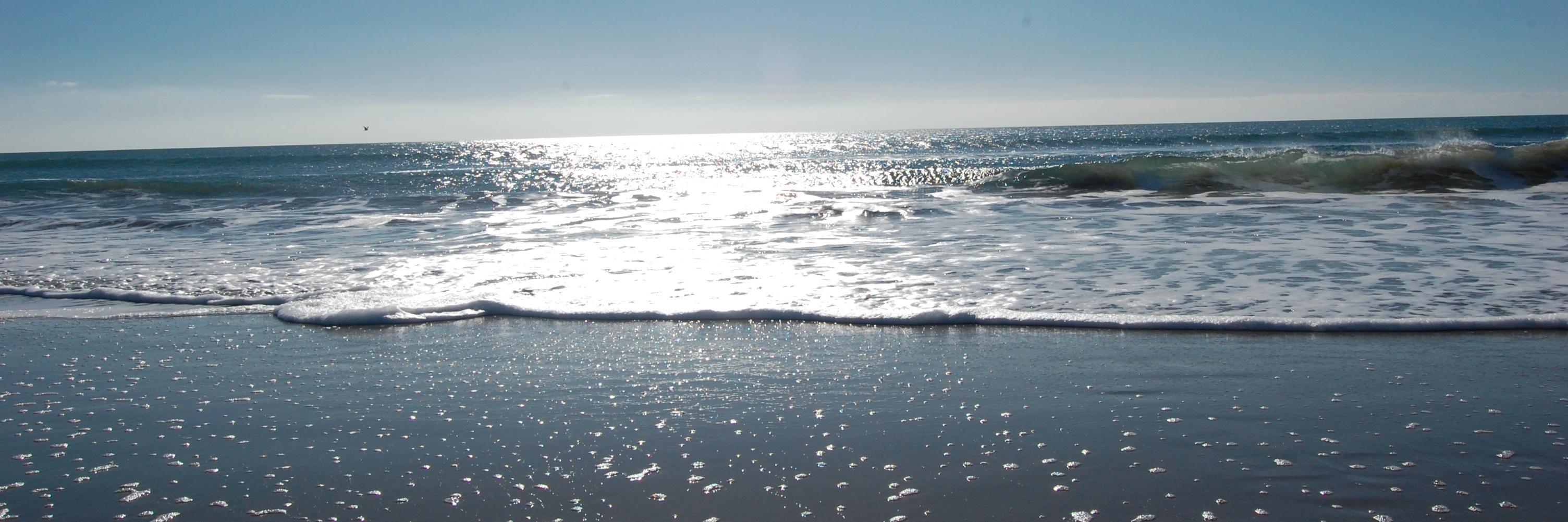 Andrea Hernandez banner