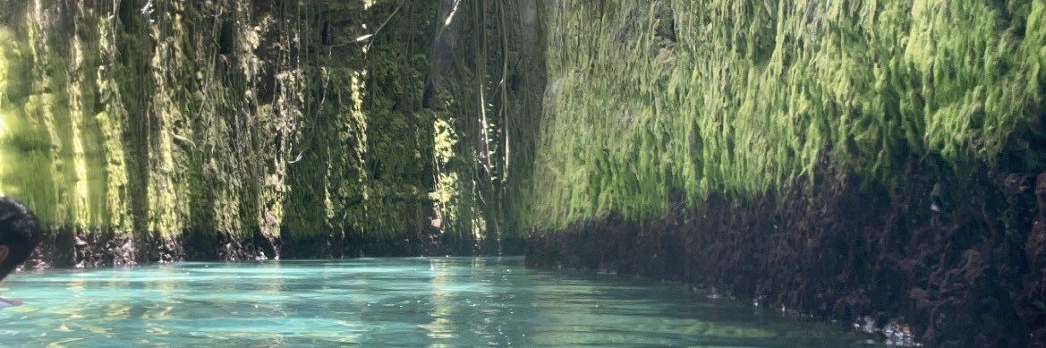 𝐸𝓊𝓃𝒾𝒸𝑒🥀 banner