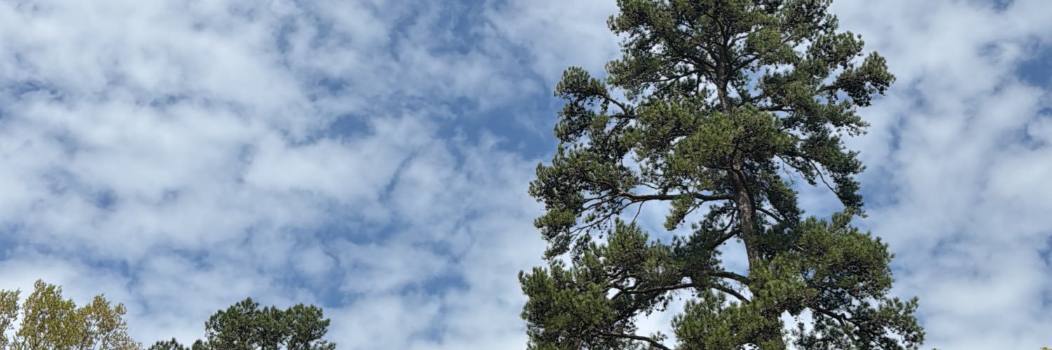 LisaMarie banner