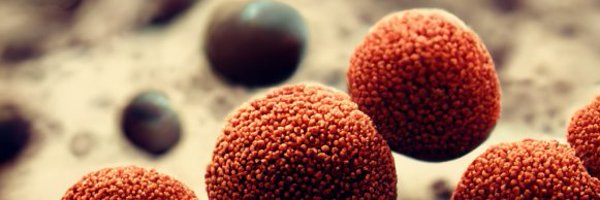 OlesiaPhd Profile Banner