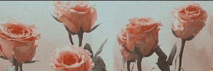 shoshn_'s profile banner image