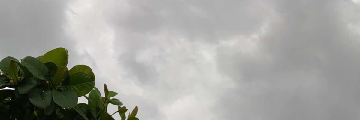 Nf711f's profile banner image