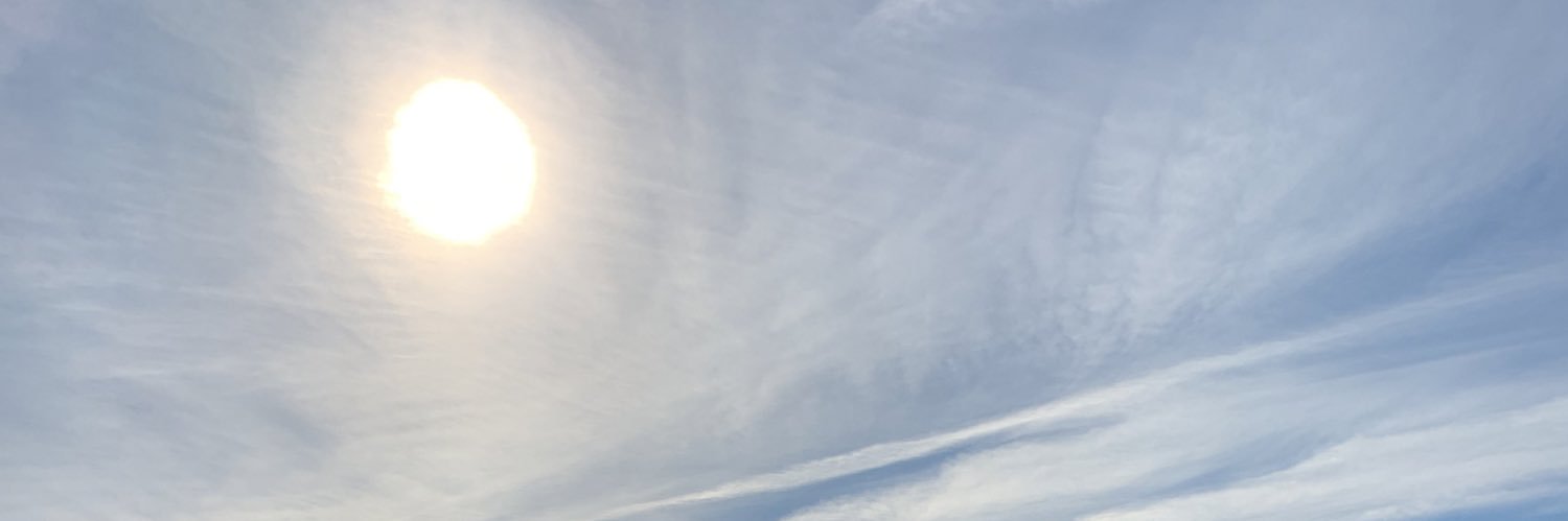 lmolnari's profile banner image