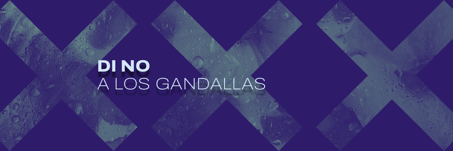 cameliacolin1's profile banner image