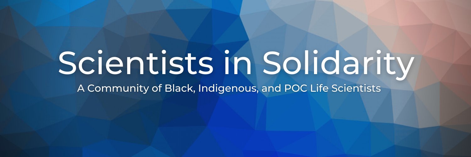 solidaritystem's profile banner image