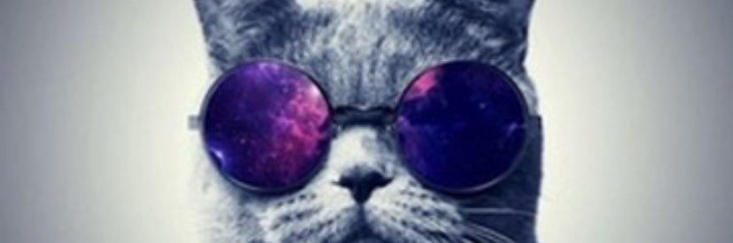 ︎Young Fendi banner